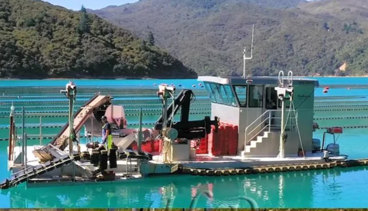How Oyster Baskets and Cages Strengthen Shellfish Harvesting